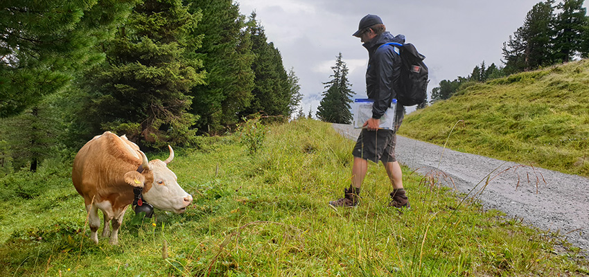 Walking in Switzerland review_Walkers' Britain